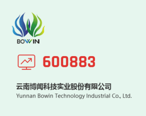 云南博闻科技实业股份有限公司