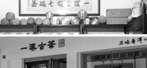 一杯茶里的云南风物