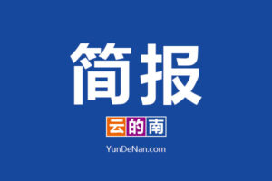 2025年3月云南产业动态简报