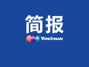 库迪咖啡临沧产业园落地、云南能投9亿风光项目、斗南花卉一季度交易额超22亿。